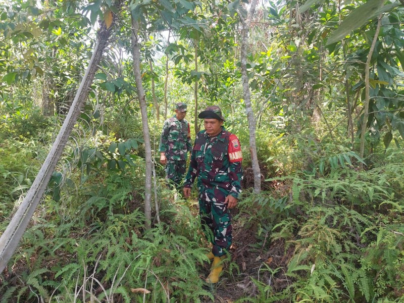 Babinsa Sertu Roby, Serda D.Simanjuntak, Serda Z.Panjaitan Berpatroli Karhutla di Jalan Rangau, Bathin Solapan, Bengkalis