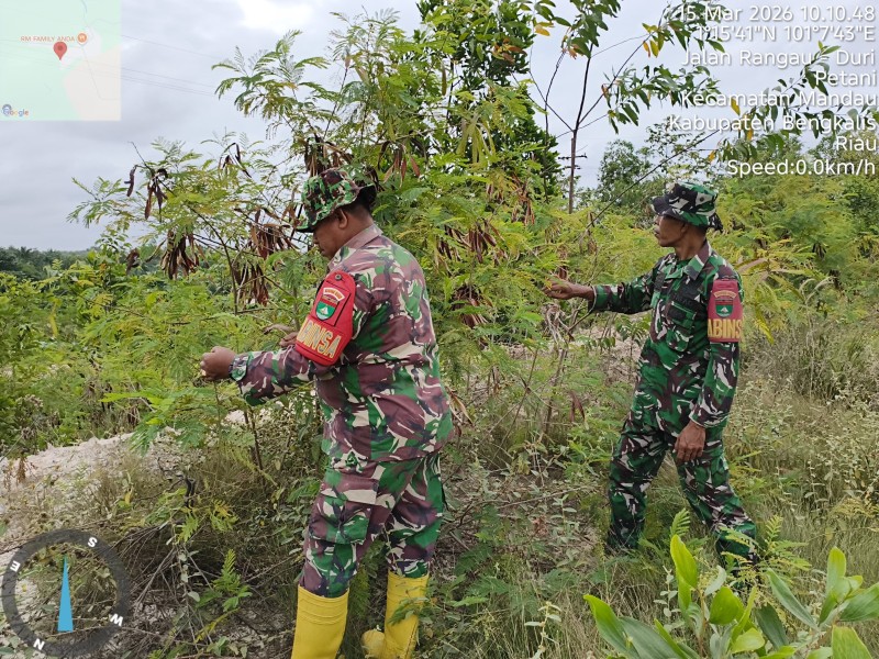 Babinsa Serma Agus Liadi, Sertu Robbi, Koptu Muksin Khan Patroli Karhutla di Desa Petani, Batsol