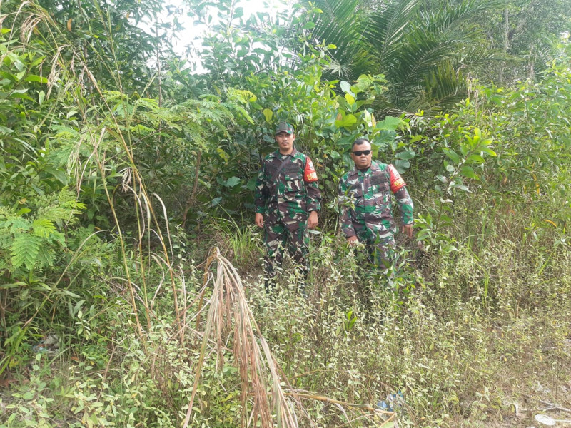 Babinsa Serka N. Saragih, Sertu M. Fikri dan Praka Alif berpatroli Karhutla di Pematang Pudu