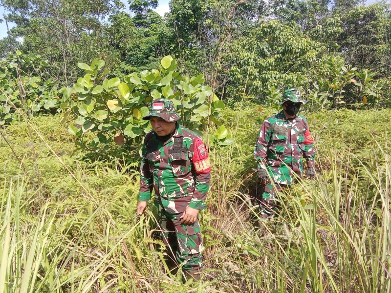 Babinsa Pelda Yulihar, Serda ML Silaban, Kopda Ade kurniawan Berpatroli Karhutla di  Desa Petani, Mandau, Bengkalis