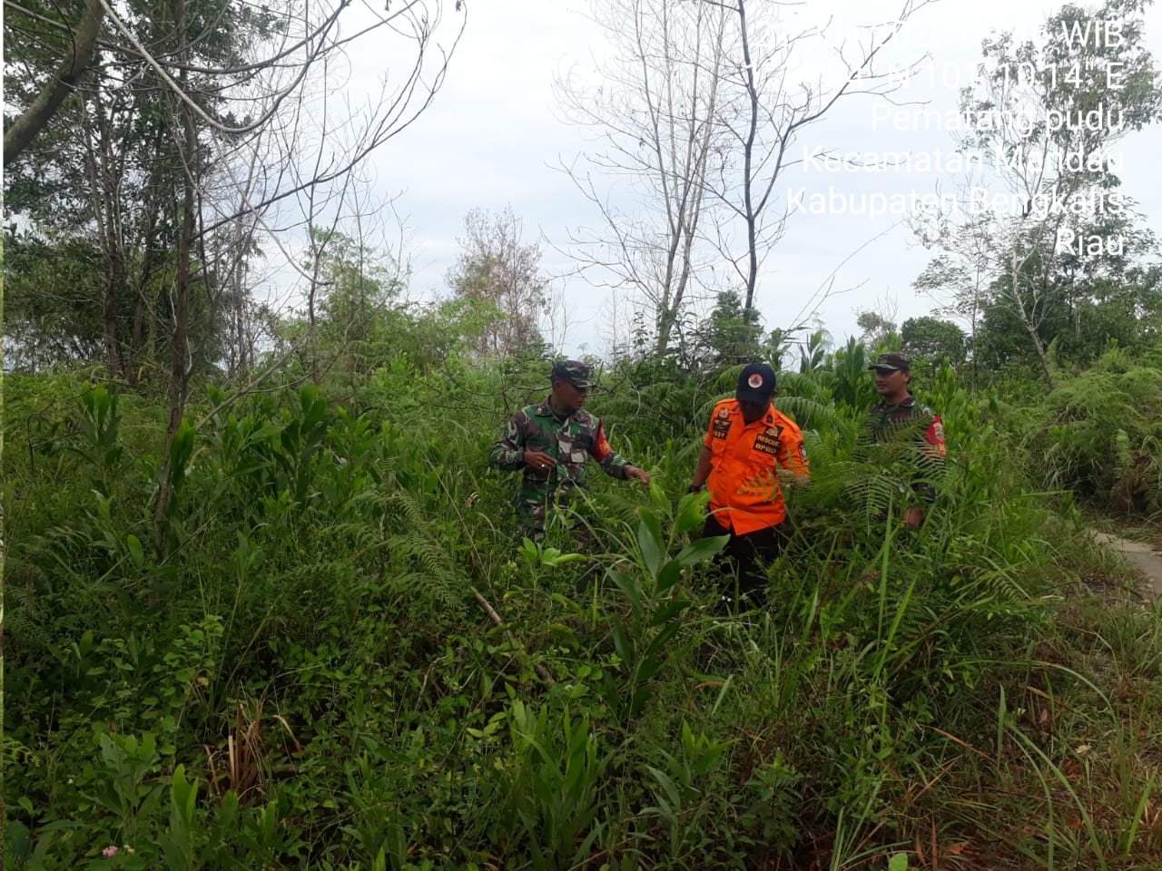 Babinsa Pelda Armen, Sertu Agung dan Rescue BPBD Mandau, Patroli Karhutla di Kelurahan Pematang Pudu