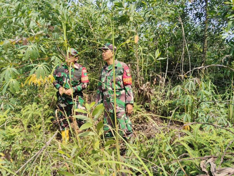 Babinsa Pelda Suprapto, Serda Z. Panjaitan, Kopda P. Samosir Patroli Karhutla di Desa Petani, Kecamatan Batsol