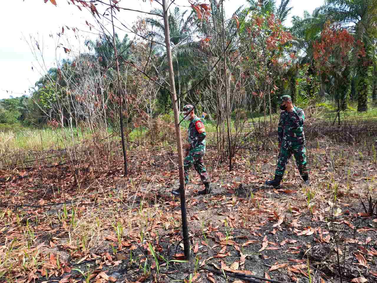 Sertu Alinaspi Patroli Karhutla di Desa Petani dan Desa Buluh Manis