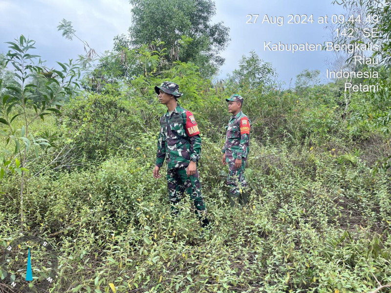 Cegah Karhutla, Babinsa Mandau Pelda Armen, Serda Rico, Pratu Hanafi Laksaksanakan Patroli di Desa Petani, Batsol