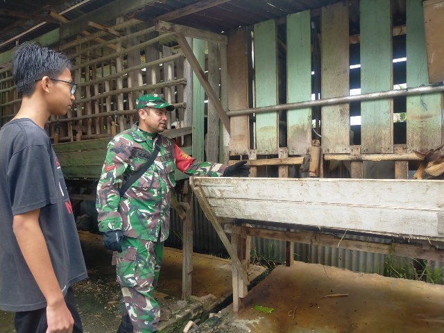 Cegah Penyebaran PMK, Babinsa Koptu M. Khan Laksanakan Cek Hewan Ternak di Jalan Datuk Perpatih