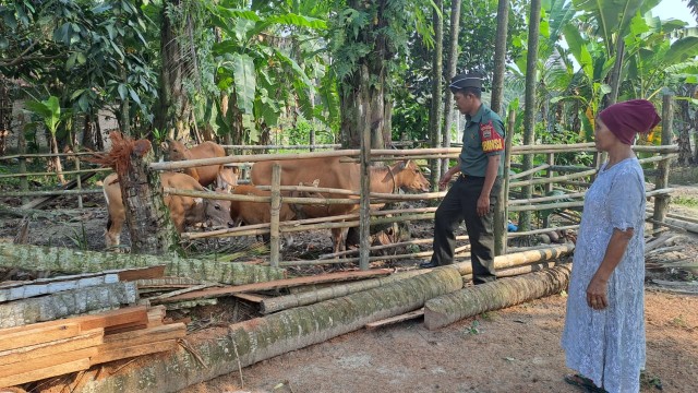 Cegah Penyebaran PMK, Babinsa Serda Joni R. Laksanakan Cek Hewan Ternak di Desa Pamesi