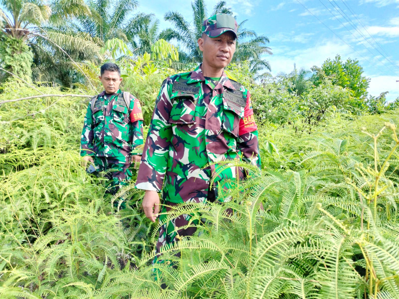 Upaya Cegah Karhutla, Babinsa Sertu Handoko, Serda AT. Silaban dan Kopda Bambang di Dusun Suliki, Desa Beringin