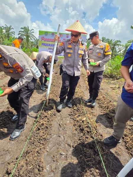 Dukung Penuh Program 1 Juta Hektar Pangan, Polsek Mandau Tanam Jagung di Desa Bathin Betuah