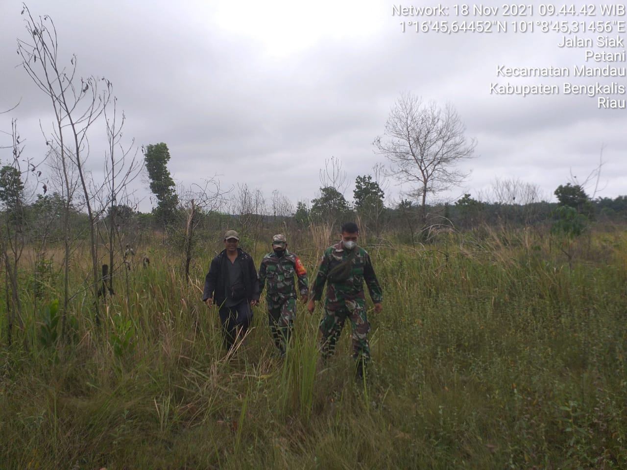 Serda P. Sinaga dan Praka Alip Laksanakan Patroli Karhutla di Desa  Petani