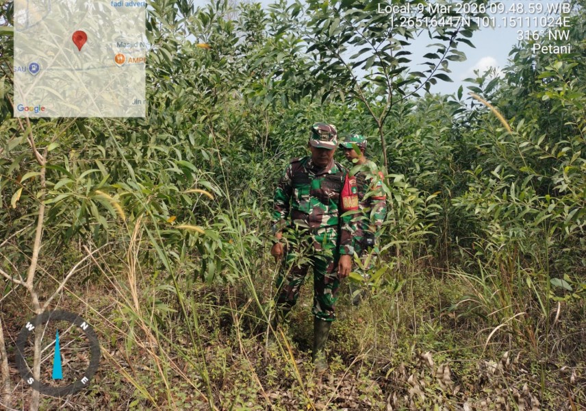 Babinsa Serda Zulkarnain, Praka Indro sinaga, PratubD.N Simanungkalit Patroli Karhutla di Desa Petani, Batsol