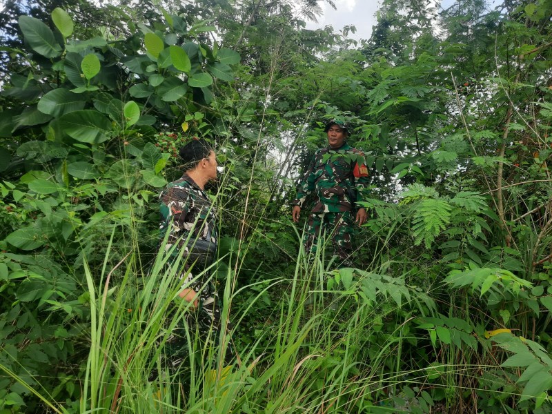 Babinsa Sertu Sihotang, Kopda Alif Alfindo Patroli Karhutla di jalan Rangau, Mandau