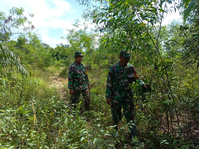 Babinsa Serka Agung, Sertu Joni.r Patroli Karhutla di Jalan Rangau, Desa Petani, Bathin Solapan, Bengkalis
