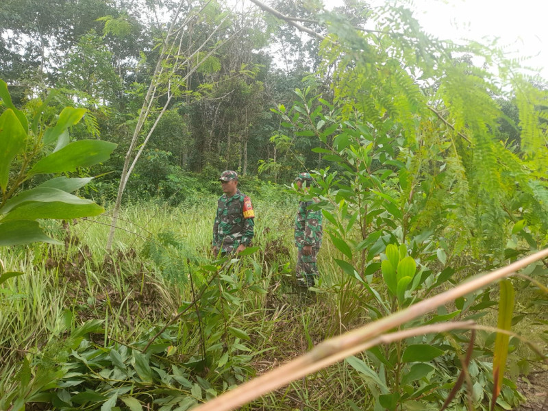 Upaya Cegah Karhutla, Babinsa Sertu Agung Saputro dan Sertu Alinaspi Berpatrolo di Desa Petani