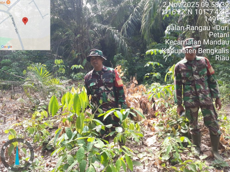 Babinsa Serma N.Saragih, Serka Ristiyo, Sertu Sutiman Patroli Karhutla di Desa Petani, Kecamatan Batsol