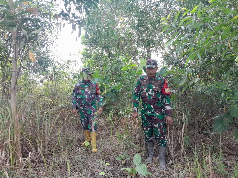 Babinsa Serma Fauzi, Serda Zulkarnaen Patroli Karhutla di Desa Petani, Mandau