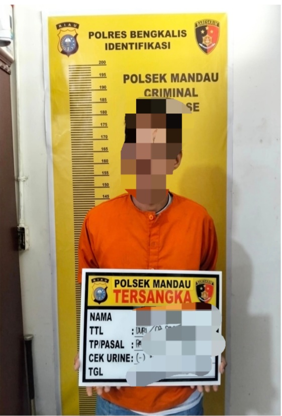 Maling Motor Scoopy, Digadaikan di Jalan Rokan, IS Meringkuk Dalam Sel
