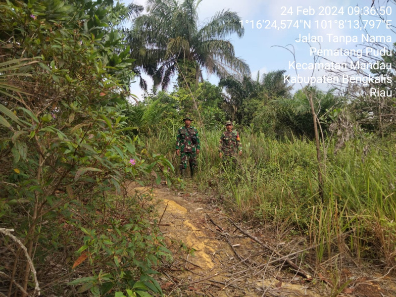 Cegah Karhutla, Babinsa Pelda Sutrisno, Serma Suprapto dan Praka Alif Alfindo di jalan Tanpa Nama, Pematang Pudu