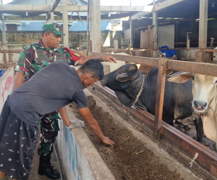 Babinsa Serma Agus Liadi Cek Hewan Ternak Kambing, Antisipasi PMK, di Gajah Sakti, Mandau