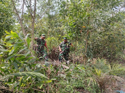 Babinsa Koramil 03/Mandau Serma Agusliadi dan Serda P. Sinaga Gencar Laksanakan Patroli Karhutla di Desa Petani