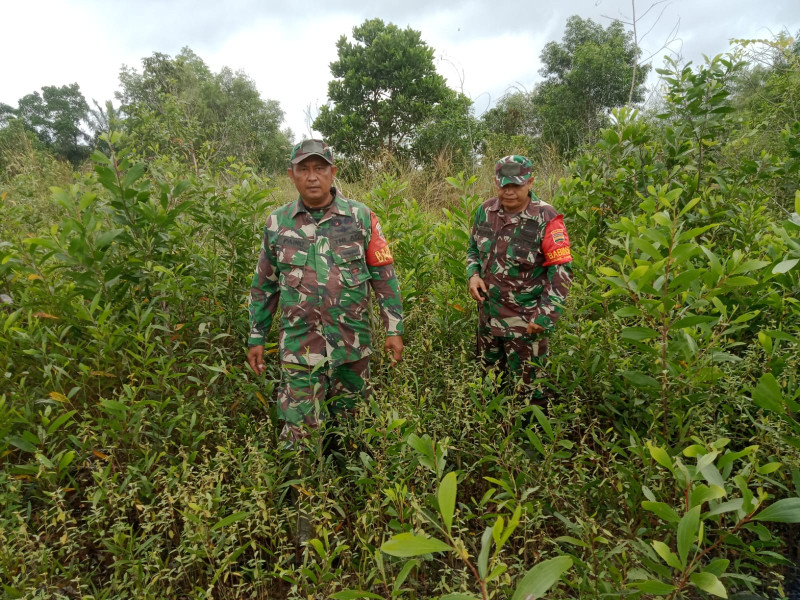Cegah Karhutla, Babinsa Serda Paino dan Serda Z. Panjaitan di Kelurahan Pematang Pudu