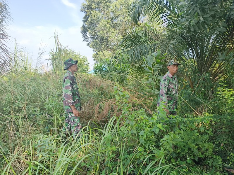 Babinsa Serka Robbi, Serda D. Simanjuntak Patroli Karhutla di Kelurahan Pematang Pudu, Kecamatan Mandau, Bengkalis