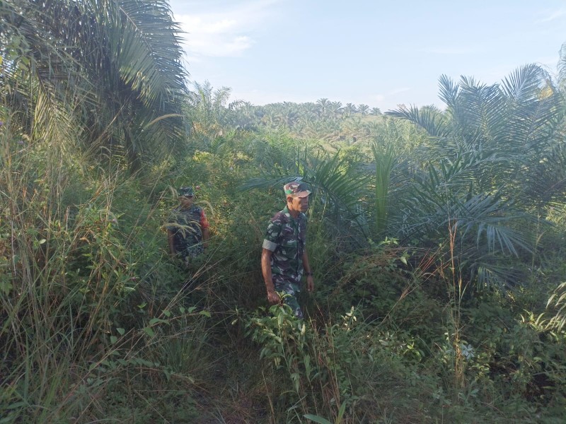 Babinsa Koramil 03/Mandau Sertu Alinaspi dan Sertu Robby, terus Laksanakan Patroli Karhuta di Pematang Pudu