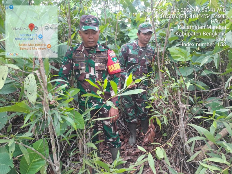 Babinsa Sertu Joni. R, Sertu AT. Silaban, Serda Zulkarnain Berpatroli Karhutla di Rangau, Desa Petani, Kecamatan Batsol