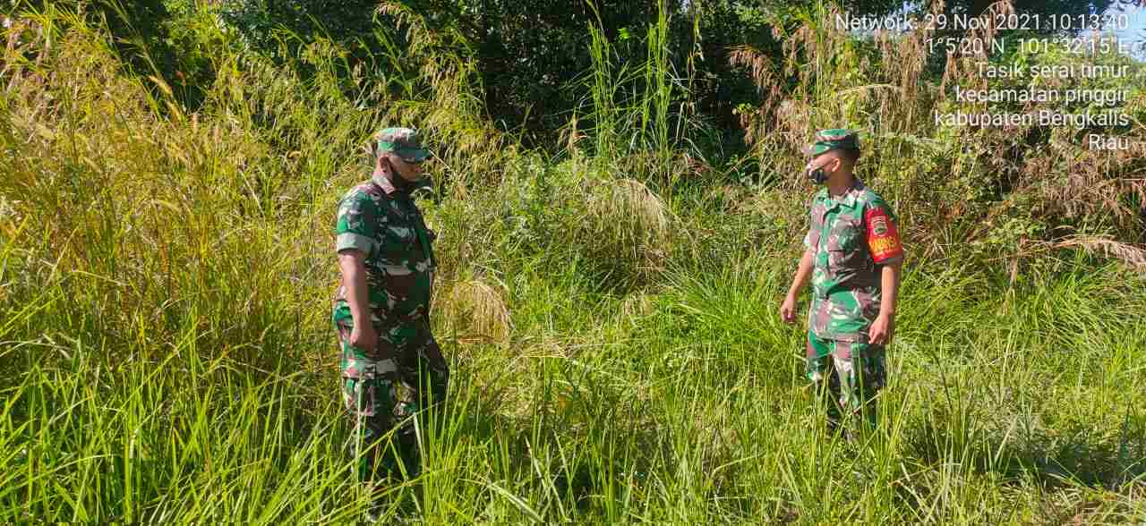 Serka Agusliadi dan Serda Fikri Patroli Karhutla di Desa Tasik Serai Timur