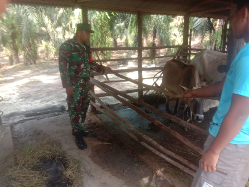 Babinsa Kopda S. Nasution Laksanakan Pengecekkan Hewan Ternak di Desa Tasik Serai