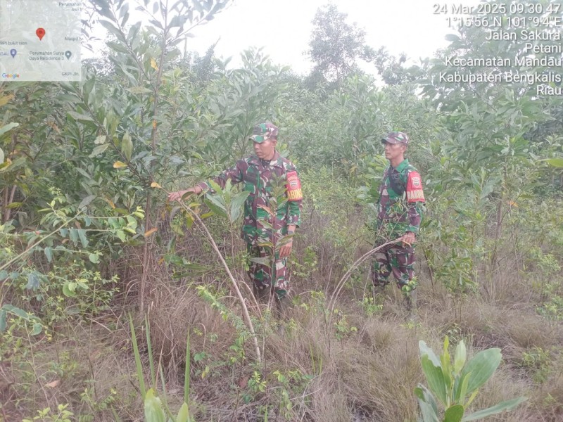 Babinsa Sertu Robby dan Sertu Sutiman, Berpatroli Karhutla di Desa Petani