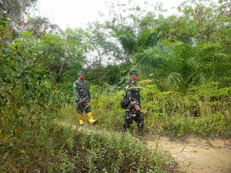 Babinsa Serka N. Saragih Berpatroli Karhutla di Desa Pinggir, Kecamatan Pinggir