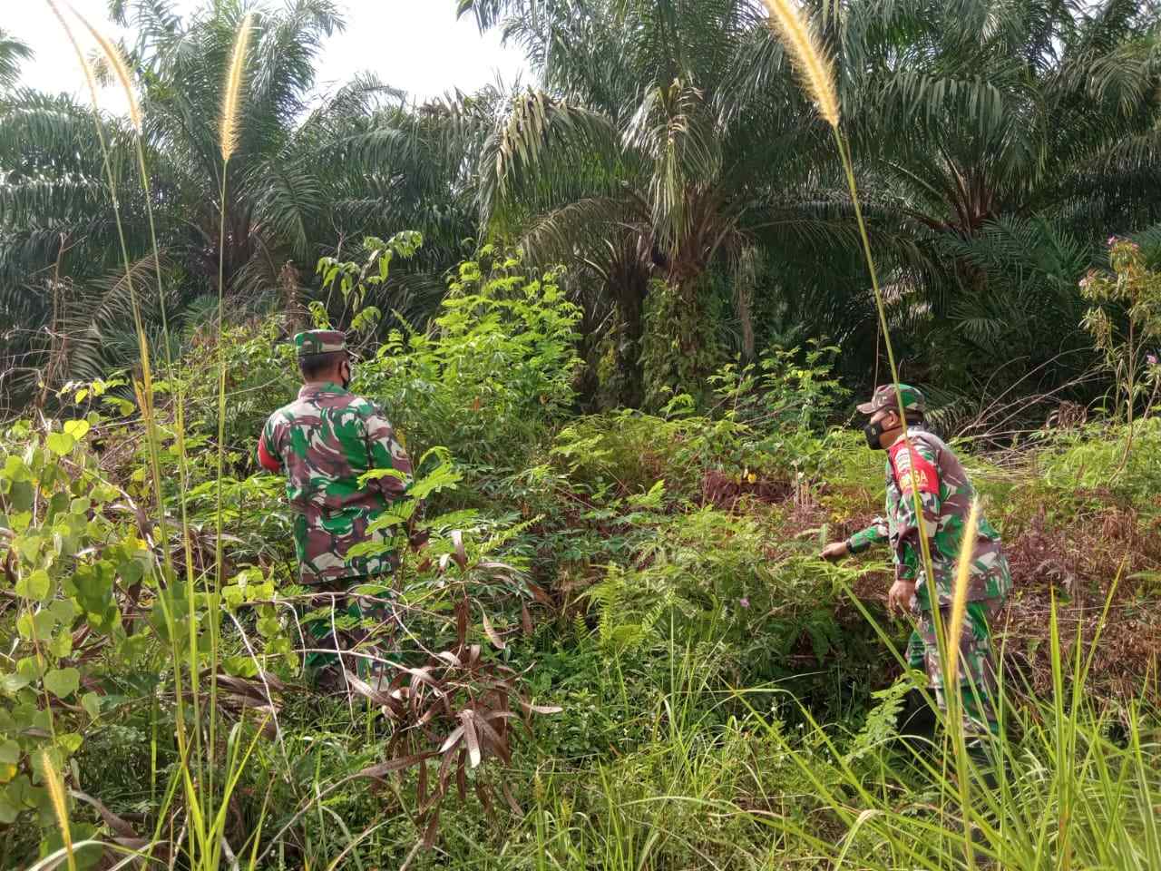 Serma Amiruddin Patroli Cegah Karhutla di Kelurahan Pematang Pudu
