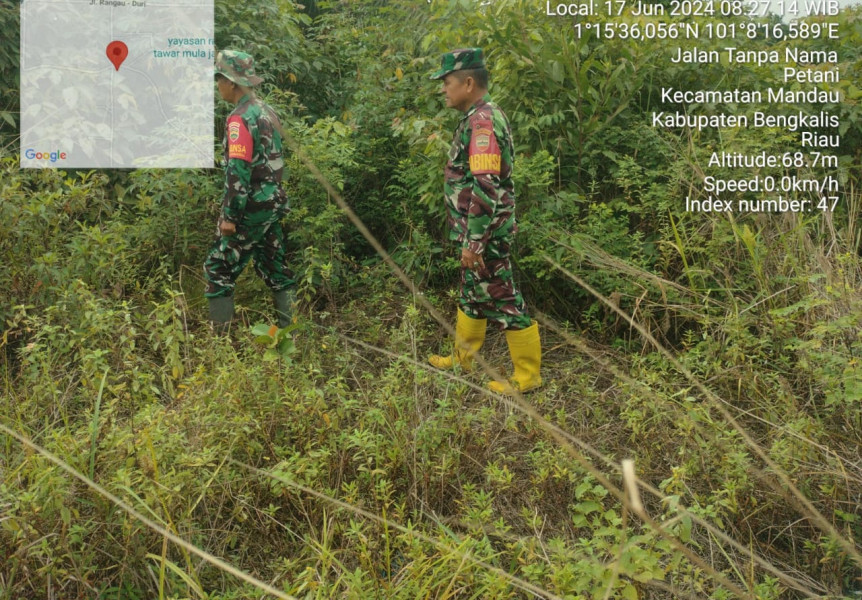 Untuk Mencegah Karhutla, Babinsa Mandau Serka fauzi, Sertu Ali Naspi, Pratu Indro Sinaga di Pematang Pudu