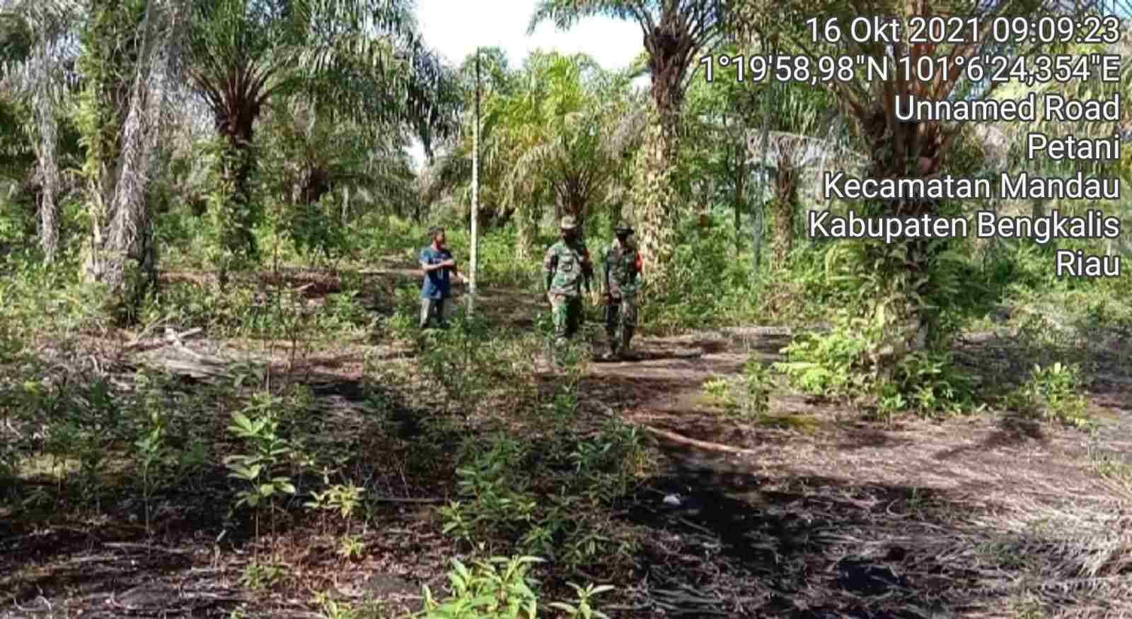 Sertu Alinaspi dan Sertu Handoko Patroli Karhutla di 2 Desa Bathin Solapan