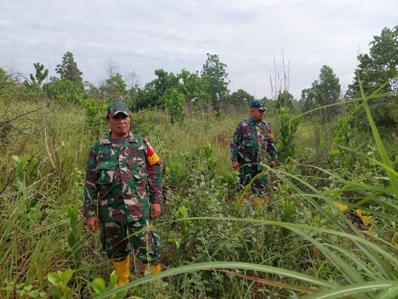 Cegah Karhutla, Babinsa Mandau Serka Fauzi, Sertu Rosdianto dan Serda D. Simanjuntak Laksaksanakan Patroli di KM 6 Jalan Rangau
