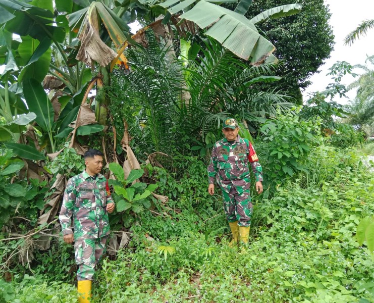 Babinsa Serka Fauzi dan Sertu M. Fikri, Berpatroli Karhutla di Jalan Rangau, Desa Petani