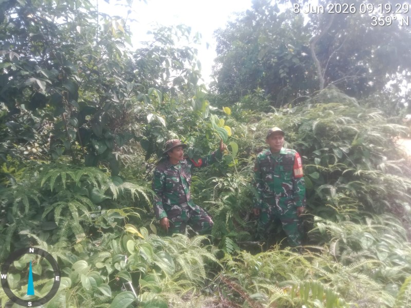 Babinsa Pelda Suprapto, Kopda Yusup Andri W Patroli Karhutla di Kelurahan Pematang Pudu, Mandau