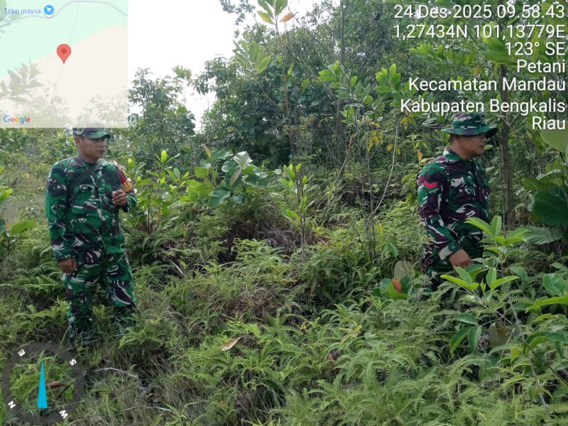 Babinsa Sertu Awaludin, Serda Z.Panjaitan, Kopda P Samosir Patroli Karhutla di Pematang Pudu, Mandau, Bengkalis