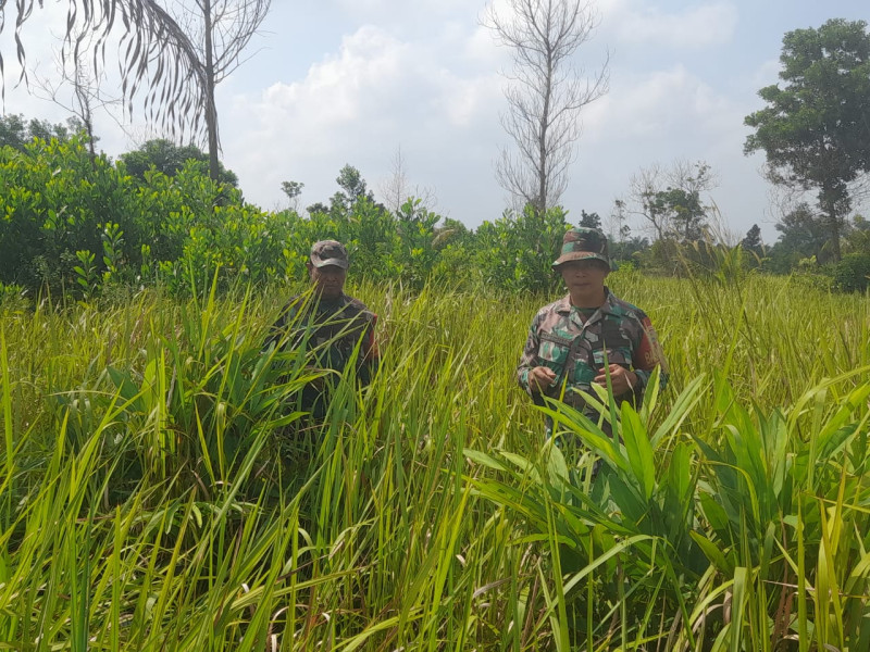 Cegah Karhutla, Babinsa Sertu Rosdianto, Serda Ramadhani di Petani