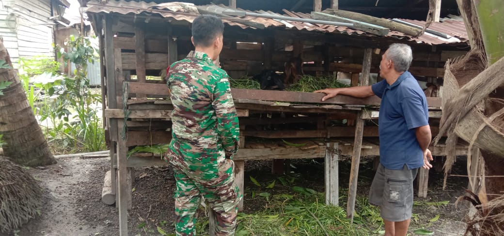 Babinsa Serda M. Fikri Maksimalkan Upaya Pencegahan PMK di Kecamatan Talang Muandau
