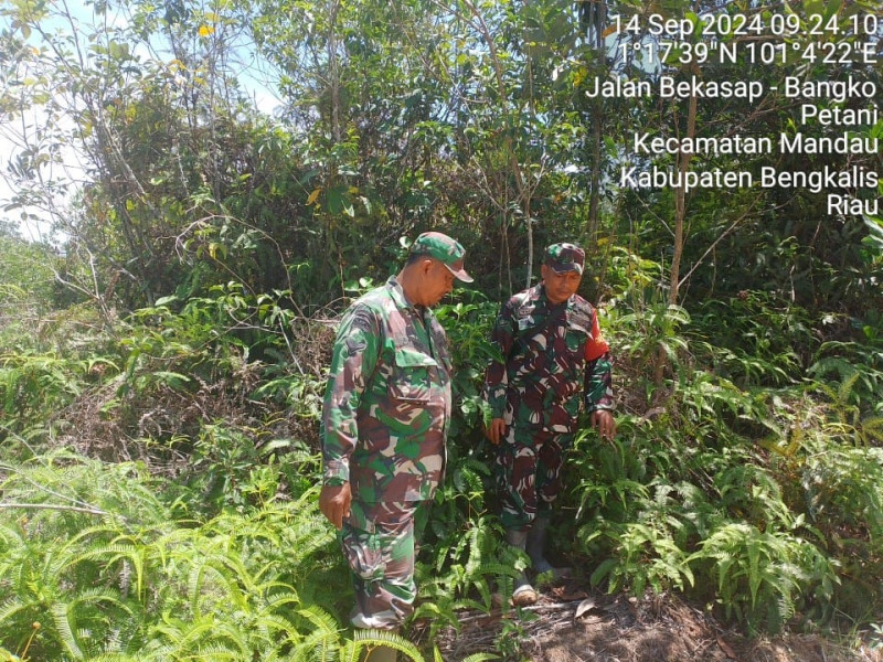 Babinsa Serda AT. Silaban, Serda Paino dan Pratu Kifron Berpatroli Karhutla di Desa Petani, Batsol