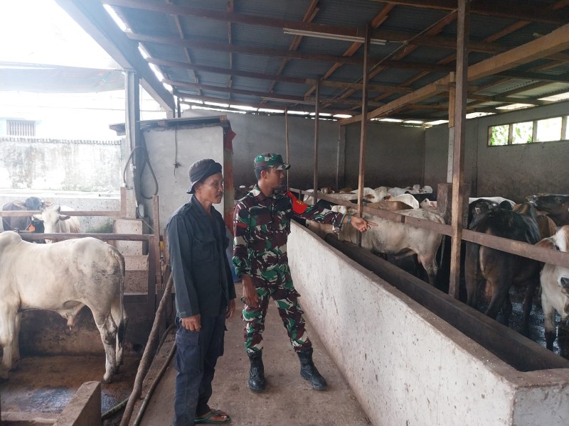 Babinsa Pratu DN. Simanungkalit Berikan Penyuluhan Pancasila Kepada kelurahan Batang Serosa, Kampung Pancasila