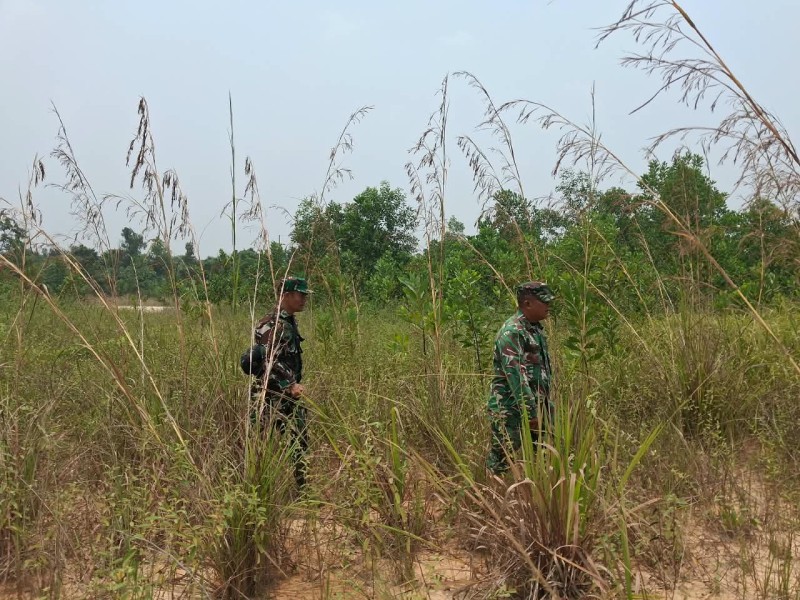Patroli Karhutla Terus dilakukan, Babinsa Peltu Sigit NW, Serka Sdg Barus cek Lahan Rawan di Desa Petani, Kecamatan Batsol