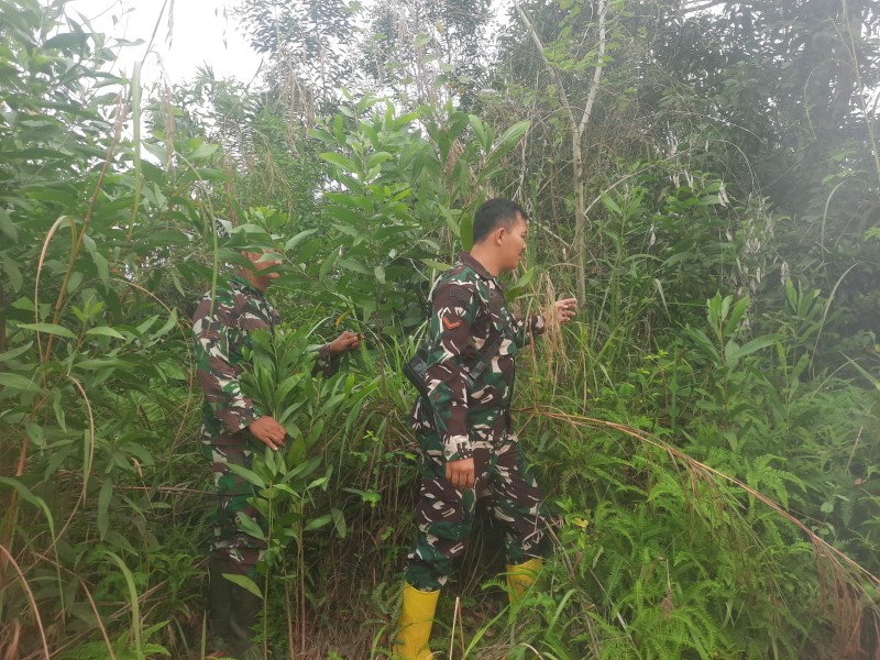 Patroli Karhutla Terus dilakukan, Babinsa Serka Agung, Kopda Alif Alfindo cek Lahan Rawan di Jalan Rangau, Batsol, Bengkalis