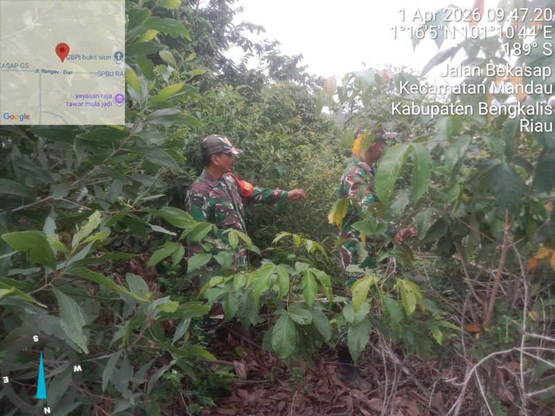 Babinsa Pelda Suprapto, Kopda Yusup Andri W Patroli Karhutla di jalan Bekasap, Mandau