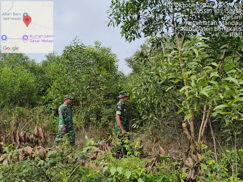 Patroli Karhutla Terus dilakukan, Babinsa Serka Robbi, Praka Amser Manulang cek Lahan Rawan di Desa Petani, Batsol, Bengkalis