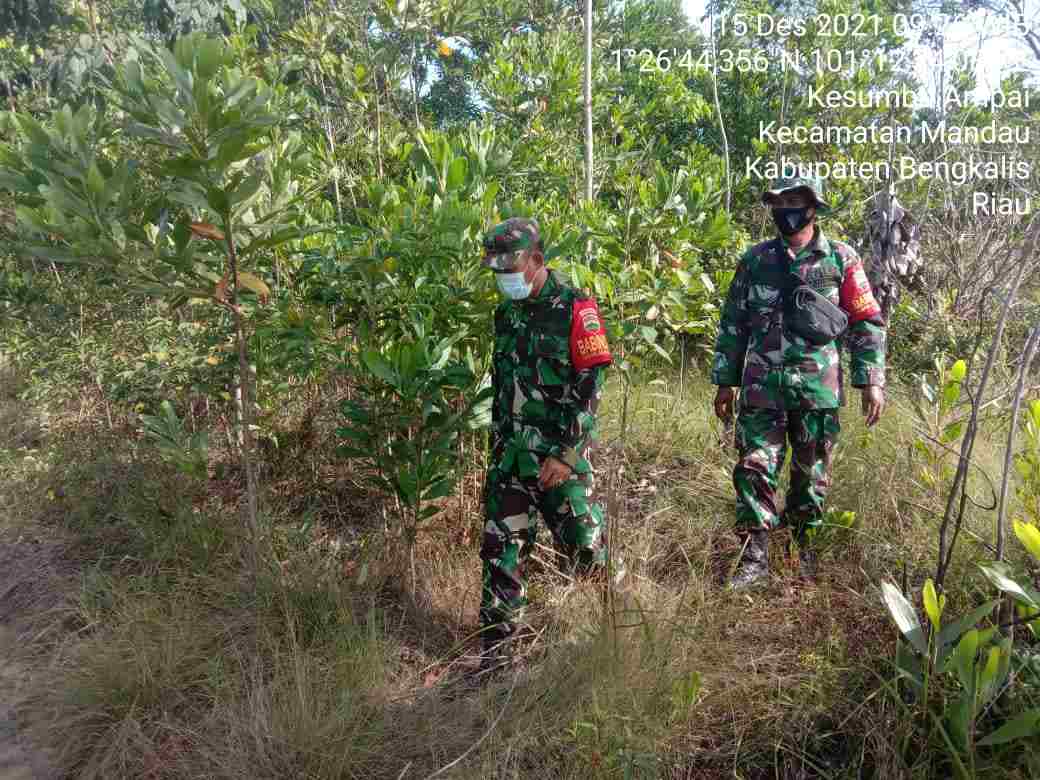 Serma Sutrisno dan Koptu Ml. Silaban Patroli Karhutla di Desa Sebangar