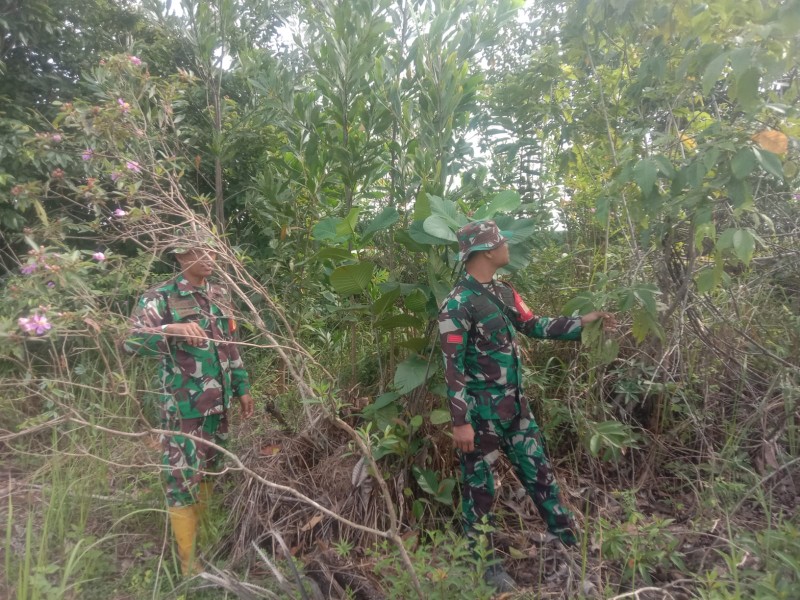 Babinsa Serka Handoko, Praka IK Sinaga   Patroli Karhutla di Desa Petani, Kecamatan Bathin Solapan
