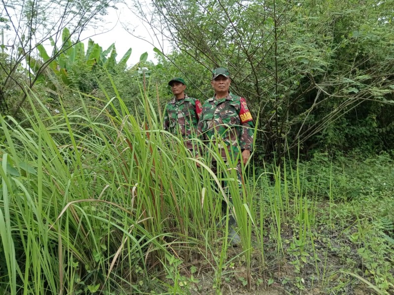 Babinsa Sertu Rosdianto, Serda D. Simanjuntak, Serda Z. Panjaitan, Berpatroli Karhutla di Bekasap