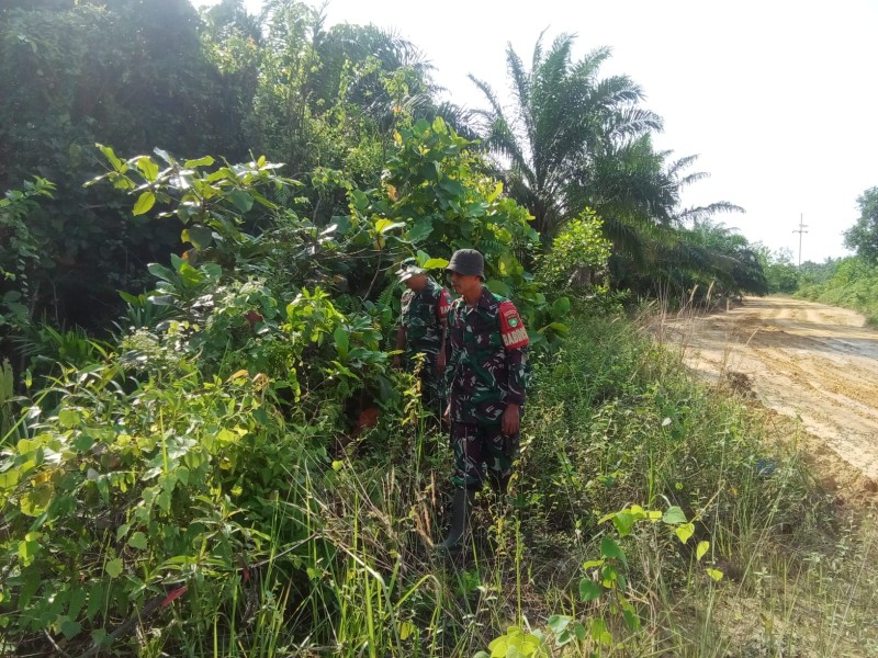 Babinsa Sertu Sutiman, Koptu Ade K. Patroli Karhutla di Jalan Rangau, Desa Petani